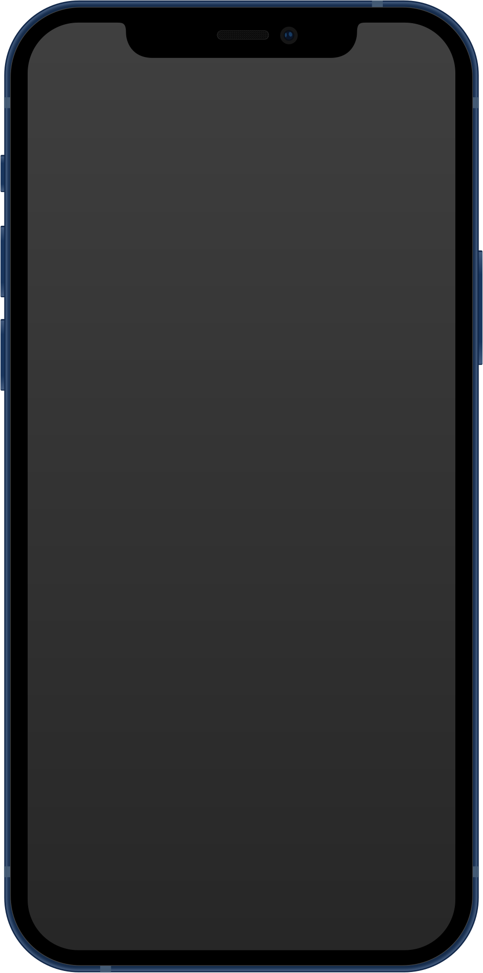 Apple iPhone 12